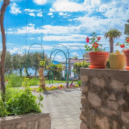 Guest house Latin