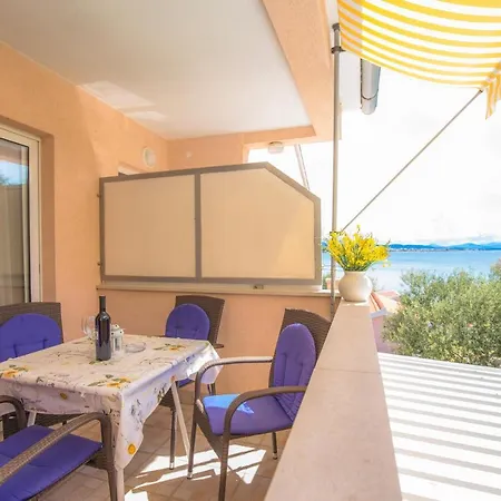 Latin * Vodice