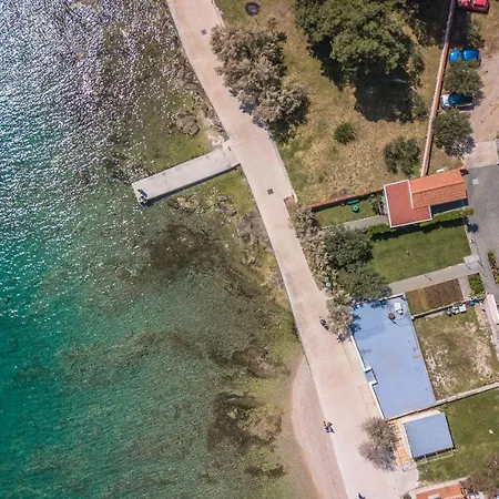 Latin * Vodice