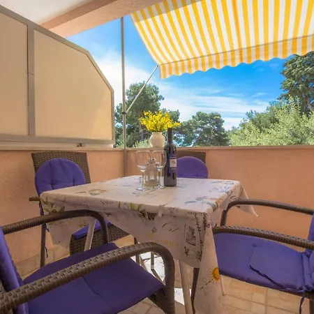 Latin Guest house *
